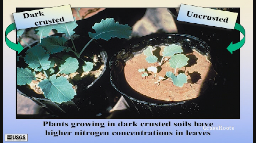 Thumbnail image for The Wilderness Workshop, Roaring Fork Audubon, & ACES presents: Naturalist Nights - "Ecosystems of the Colorado Plateau: What Does the Future Hold?"