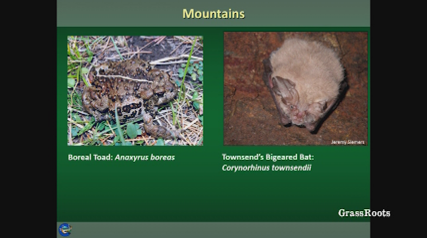 The Wilderness Workshop, Roaring Fork Audubon, & ACES presents: Naturalist Nights - "The Life and Times of Colorado: Our State’s Natural History"