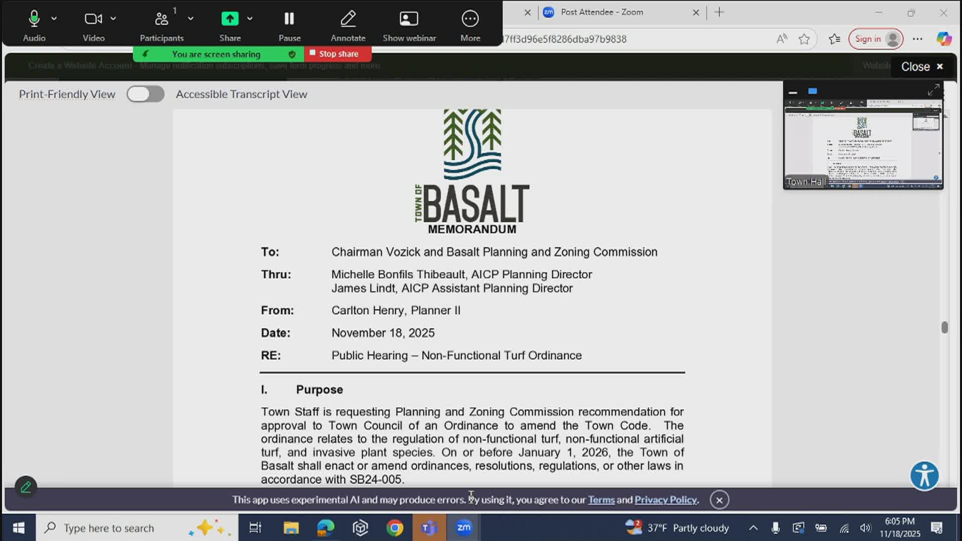 Basalt P&Z (Planning & Zoning) Commission Meeting 11/18/25