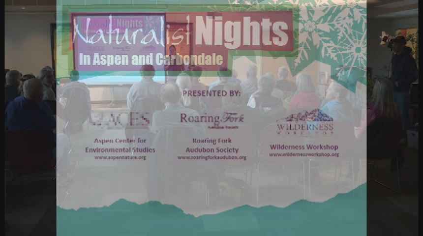 Thumbnail image for The Wilderness Workshop & ACES presents: Naturalist Nights “Small Mtn Owls” with Scott Rashid