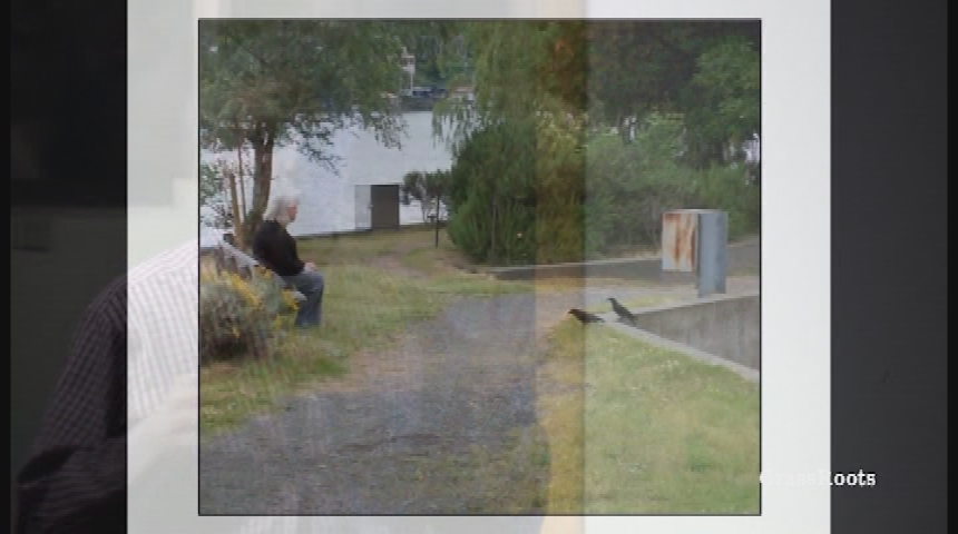 Thumbnail image for The Wilderness Workshop & ACES presents: Naturalist Nights “Welcome to Subirdia” with John Marzluff