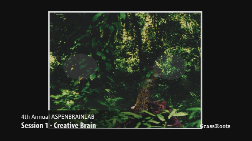 Thumbnail image for 4th Annual ASPENBRAINLAB - "Creative Brain" featuring Dr. John Krakauer, Dr. Neil Martin, Dr. Uzma Samadani, Dr. Beau Lotto, Drinkable Book (Video), and David Eagleman